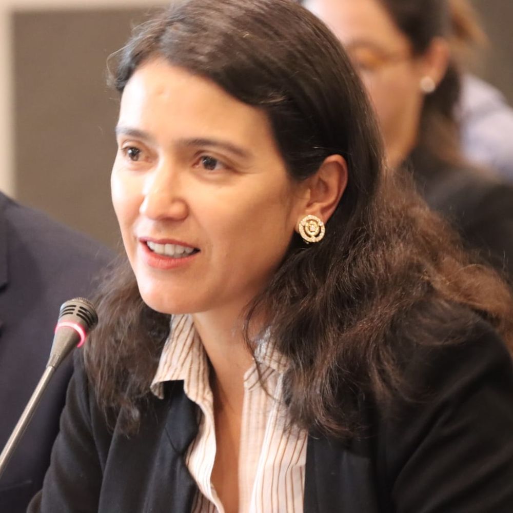 Carolina Villadiego Burbano