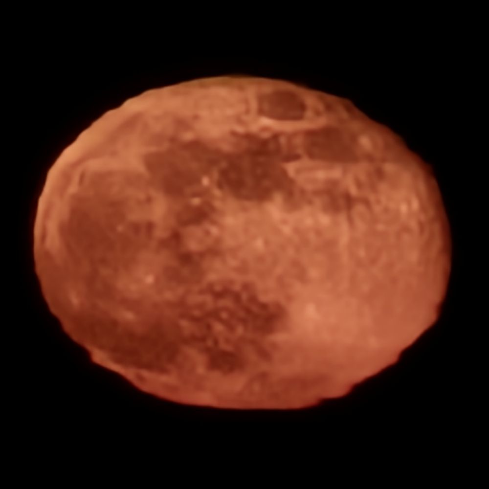 eskimotom.bsky.social profile picture