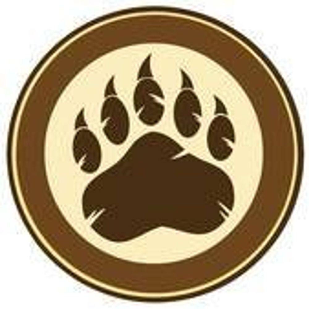 Bear For Paws