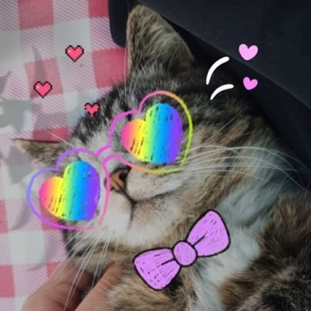 🌜연두부ヨンドゥブ🌛