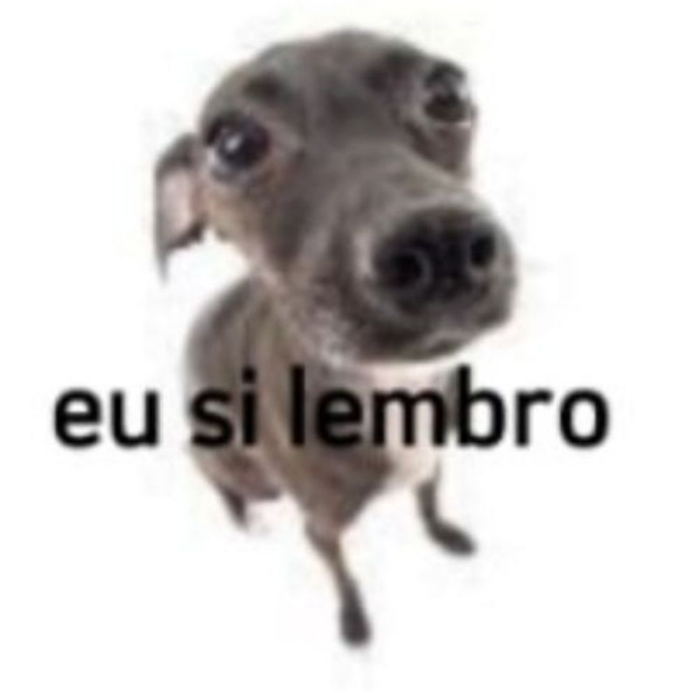 rafaelb