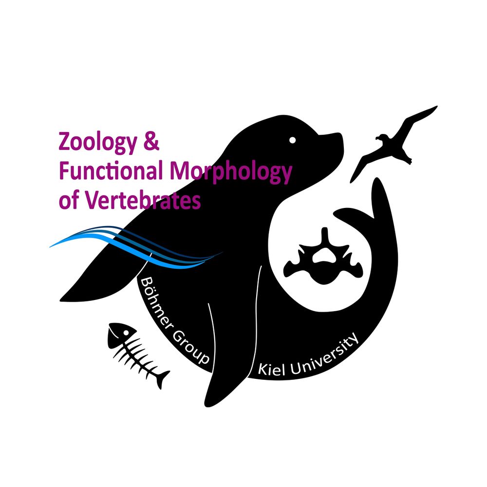 Zoologie und Funktionsmorphologie der Wirbeltiere