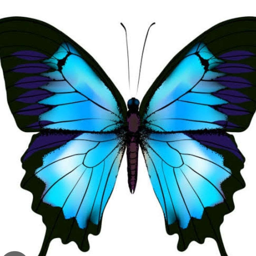 Fouzia