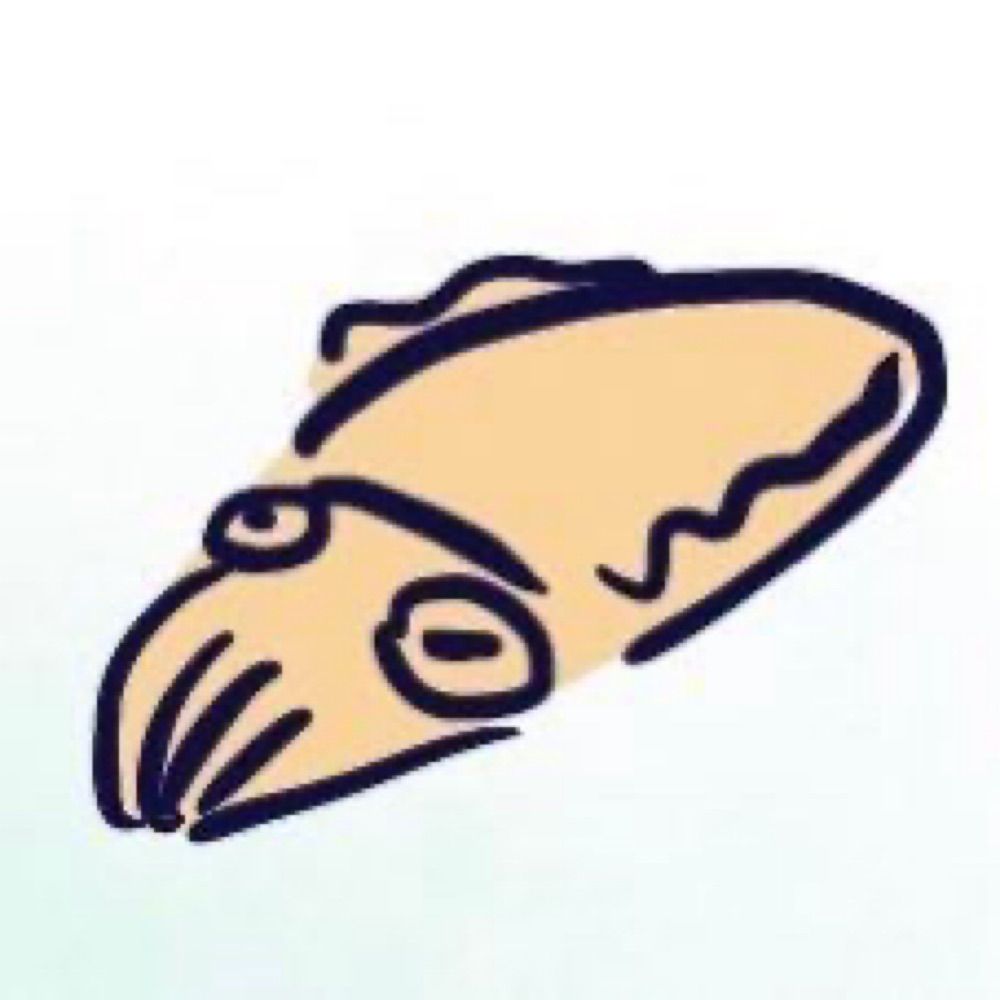 ぐるりぐら🦑‎(*´﹀`*)( -᷅ ·̫ -᷄ )