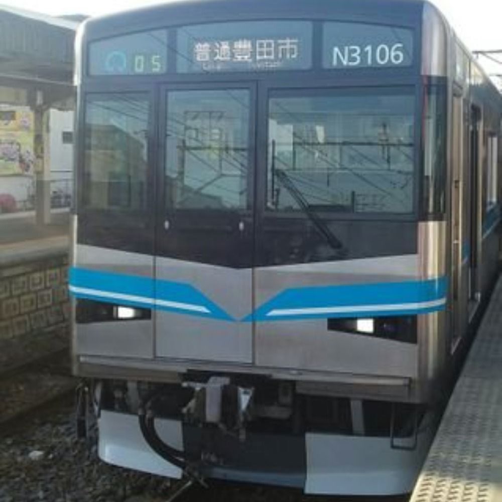 TsurumaiN3106 