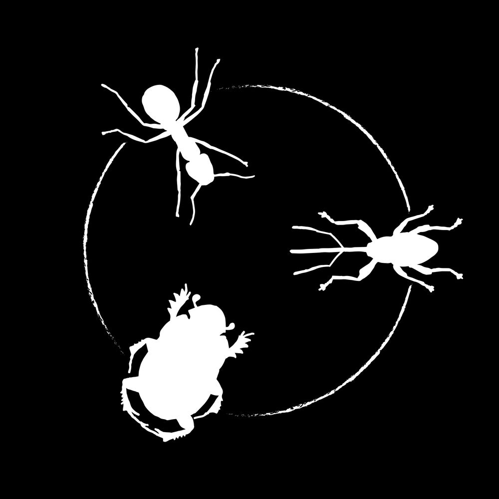 HEXAPODA