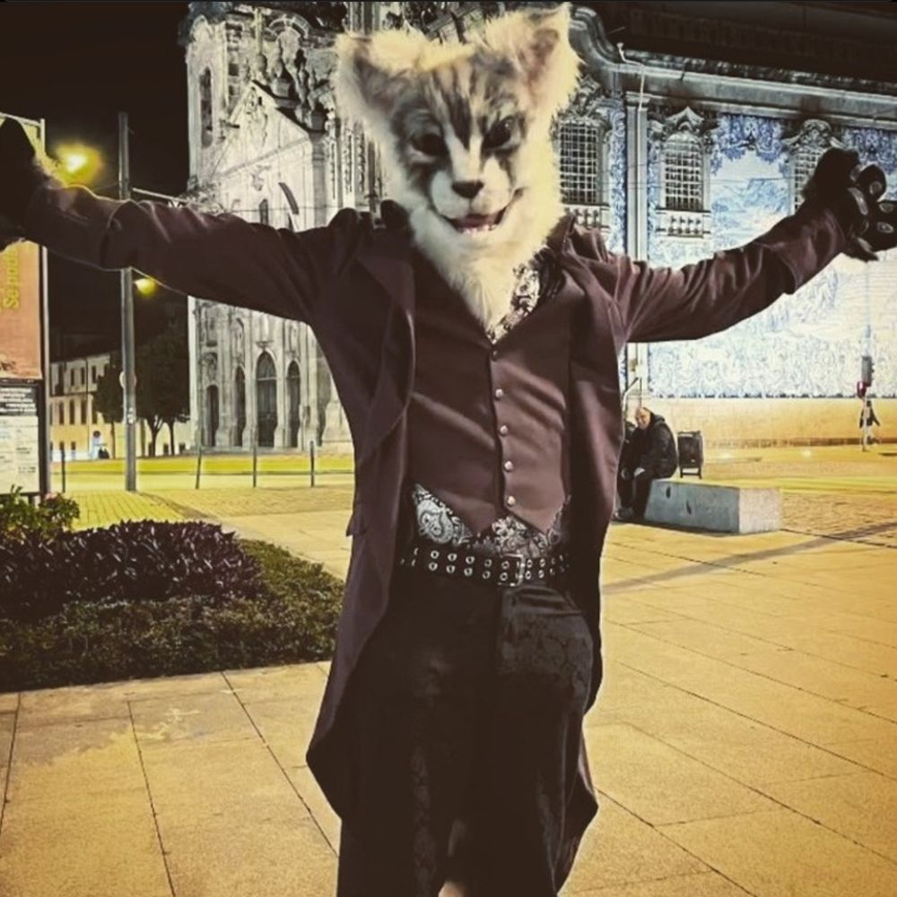 YarnsTheCat