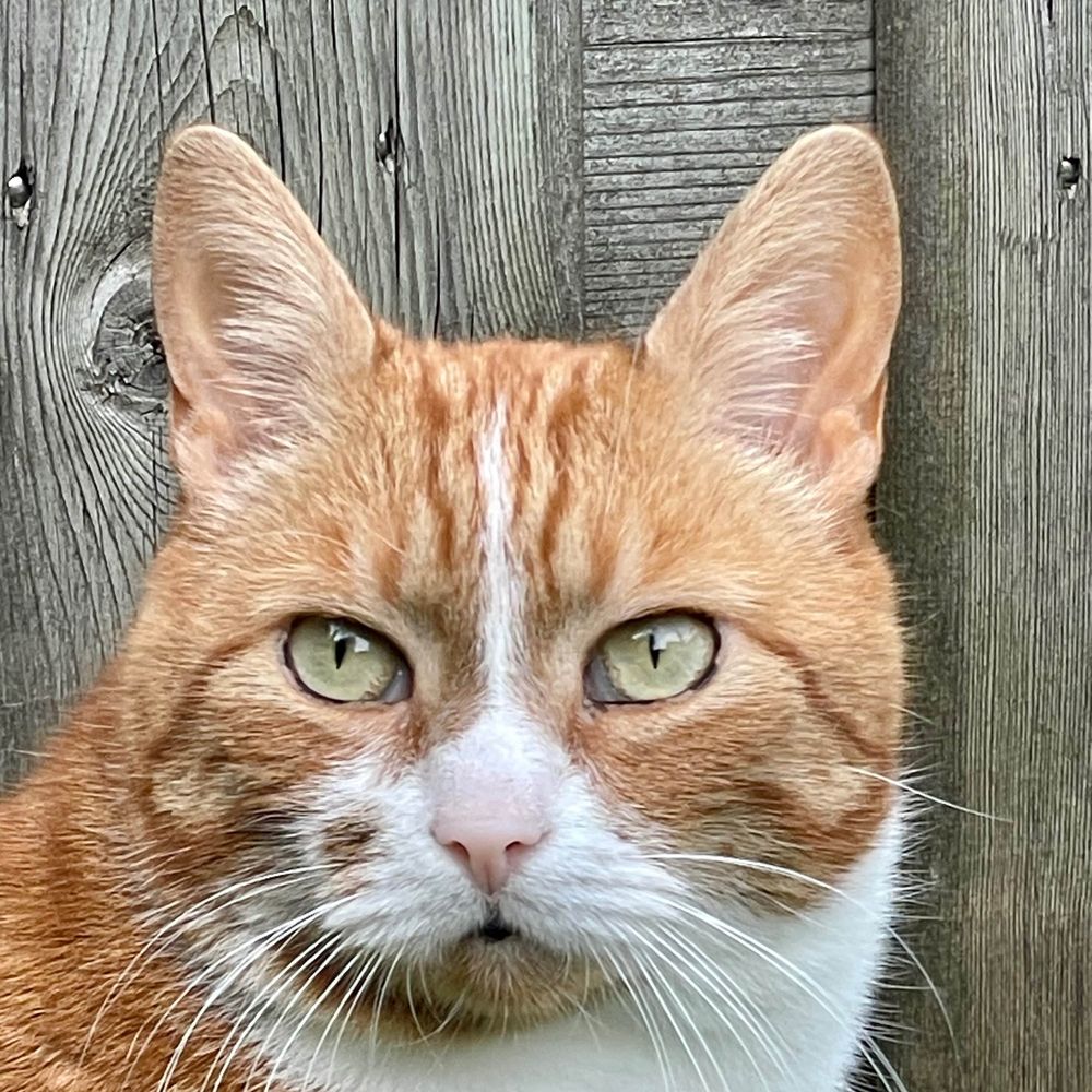 Loetje!