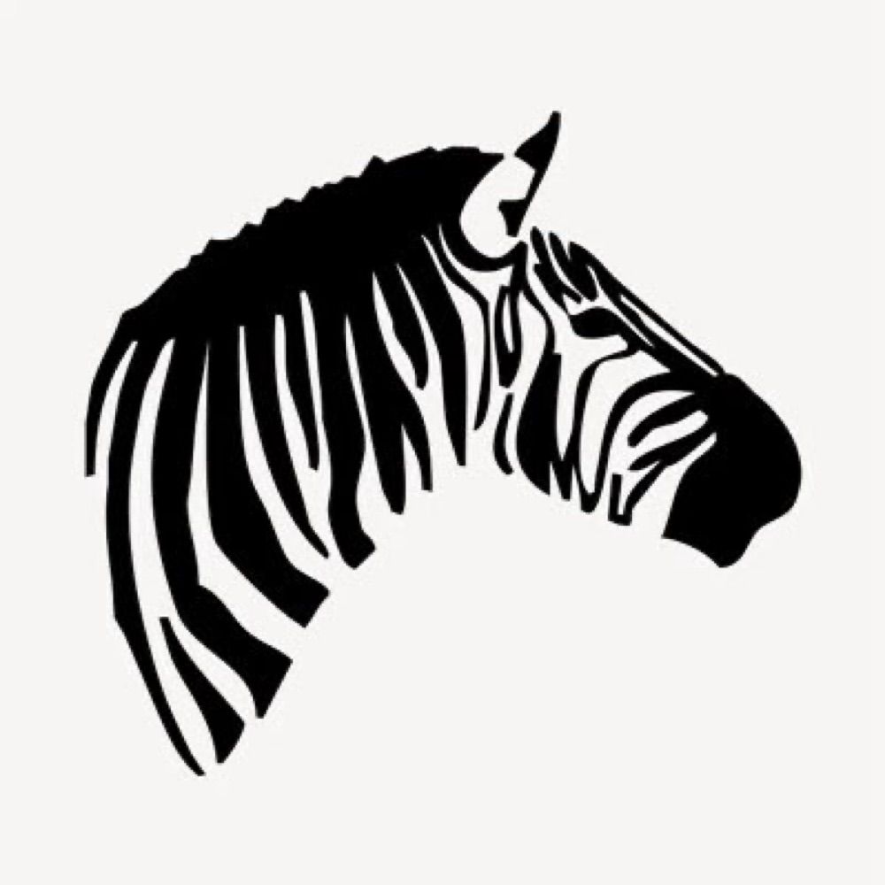 Normal Zebra ADHD Coaching
