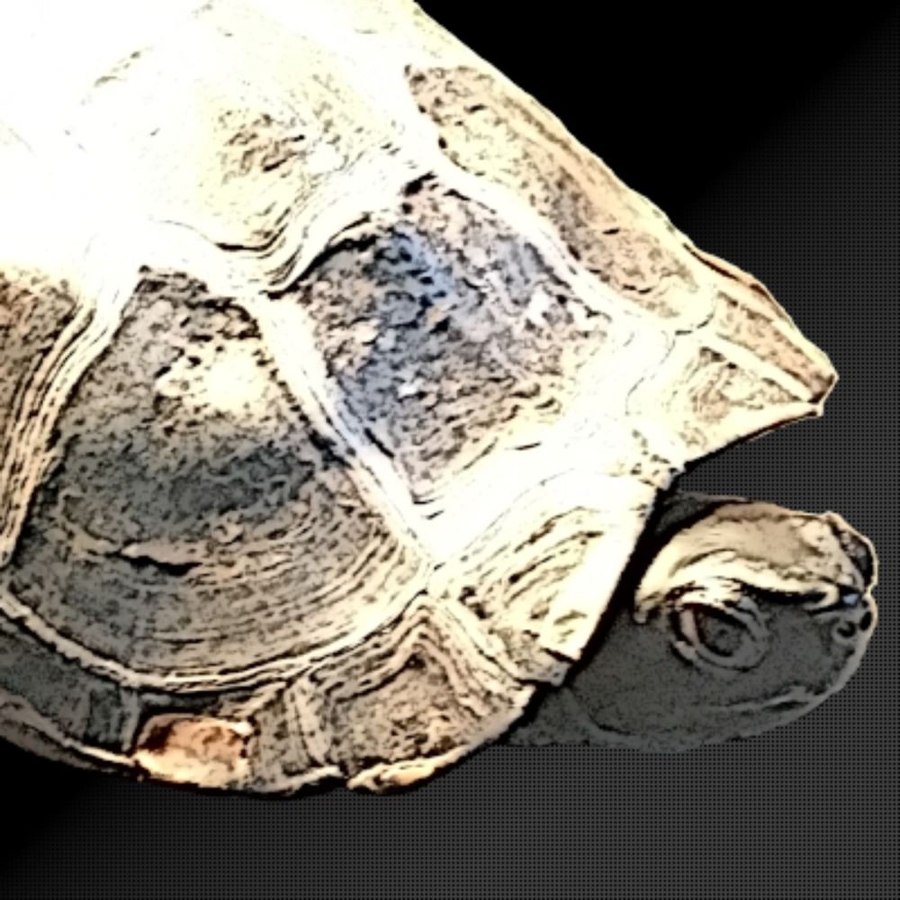Kamegiwa