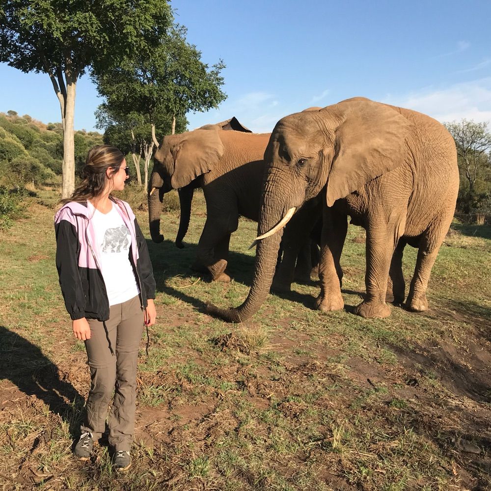 baileybo33.bsky.social