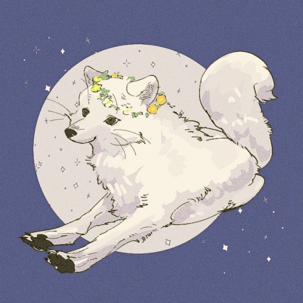 ひより