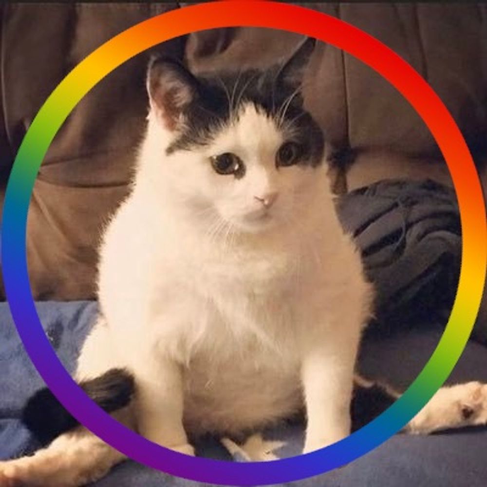 背痛meowt