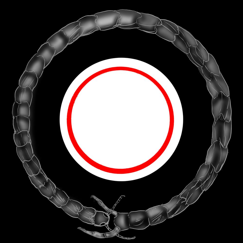 Ddelver
