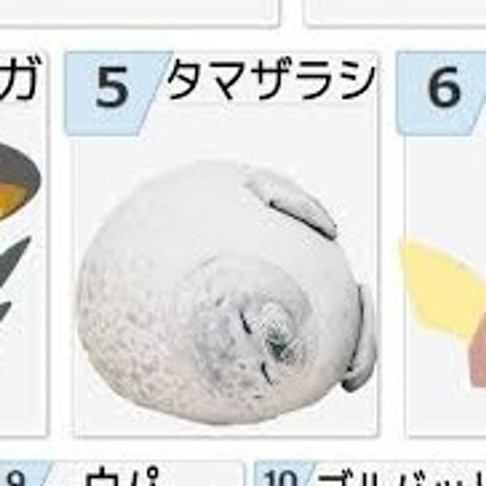 玉ざらし