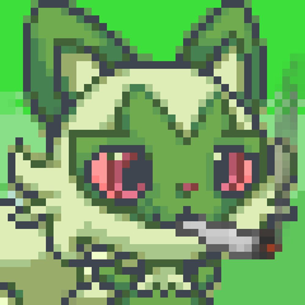 gato makonha