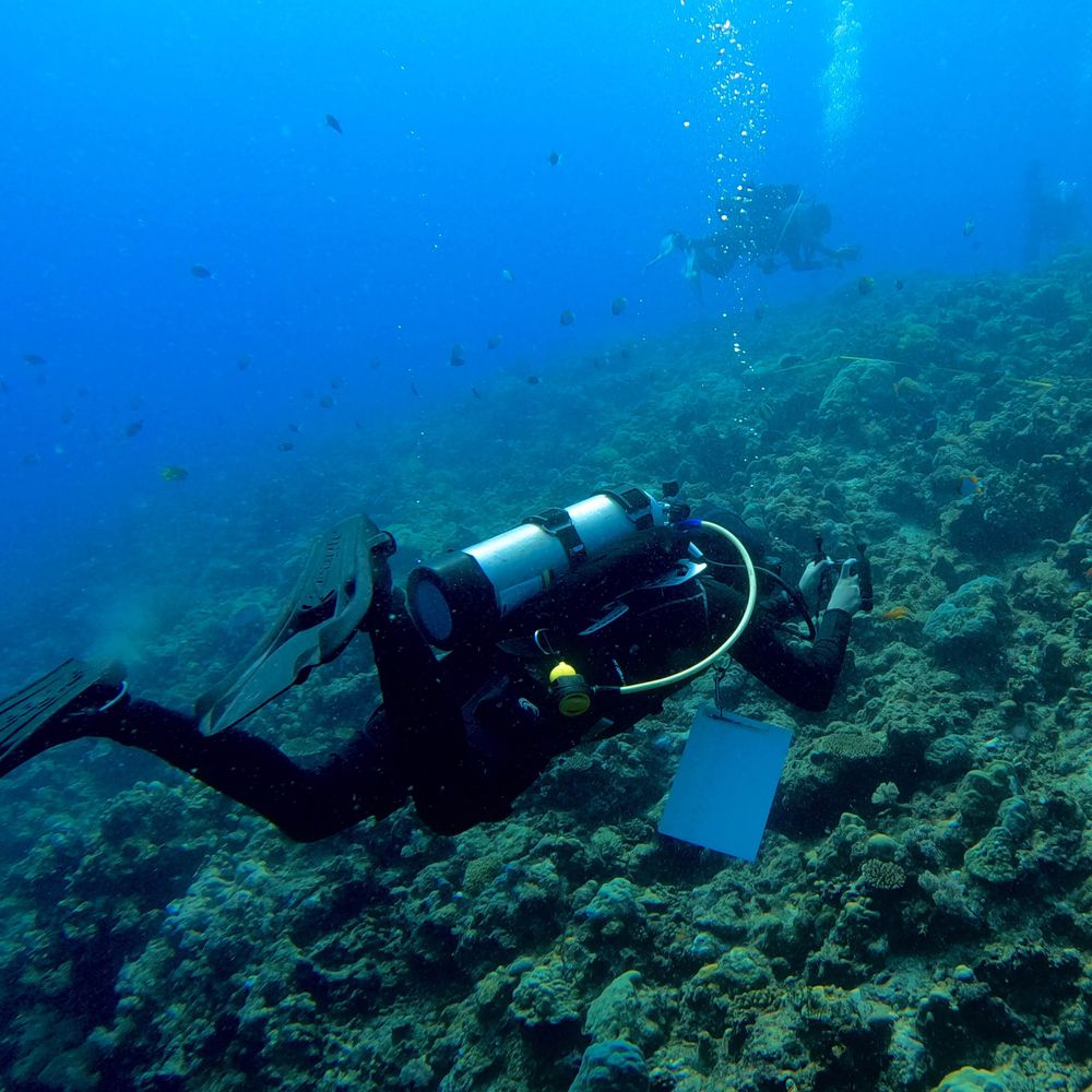 kent sorgon, MSc