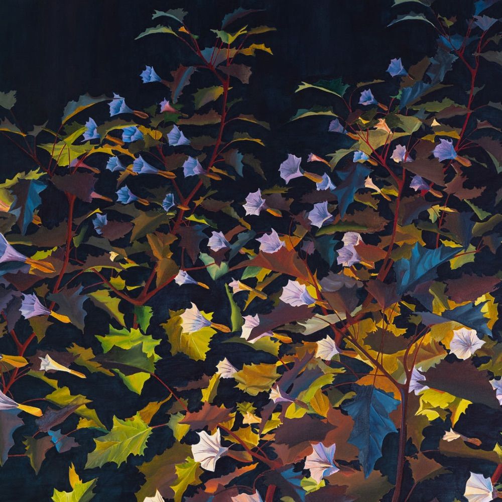 Nicholas W Johnson