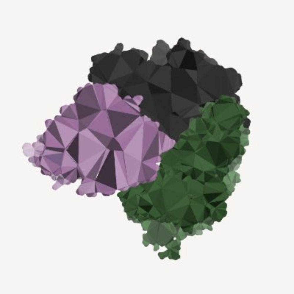 FODZYME®️