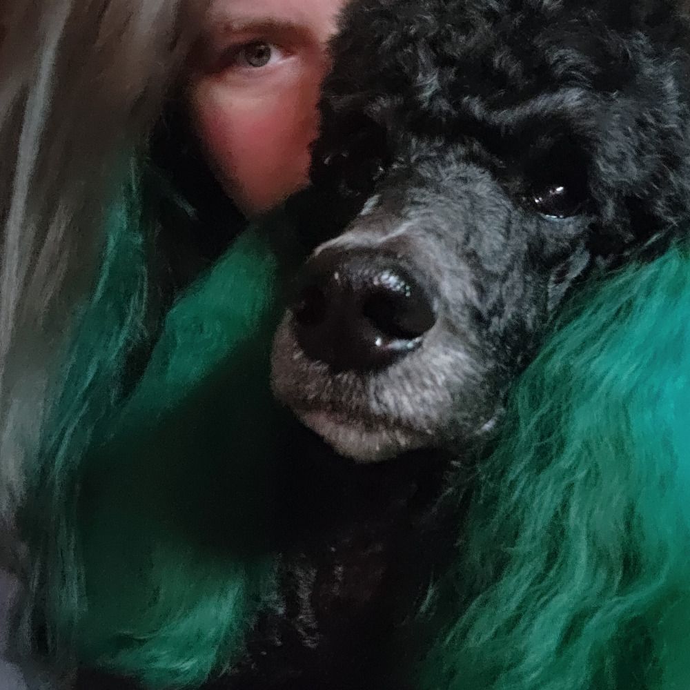 🗡️ ʀɪʟᴇʏ 🐩 þᚱᚢᛏᛦ 🎮