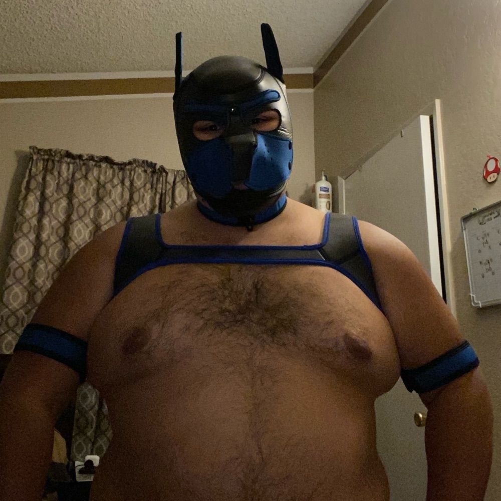 Puppimon