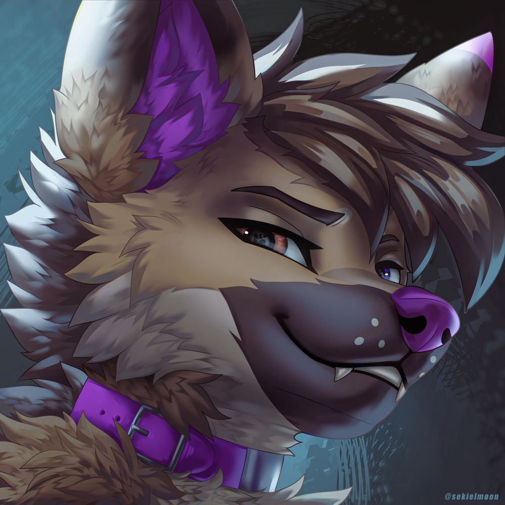 Jinx Shepsky