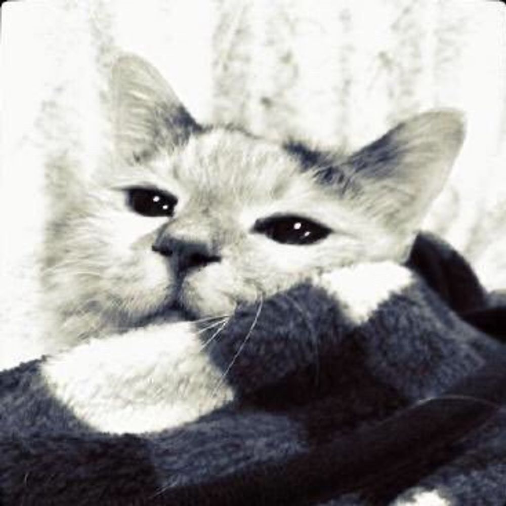 mitmul