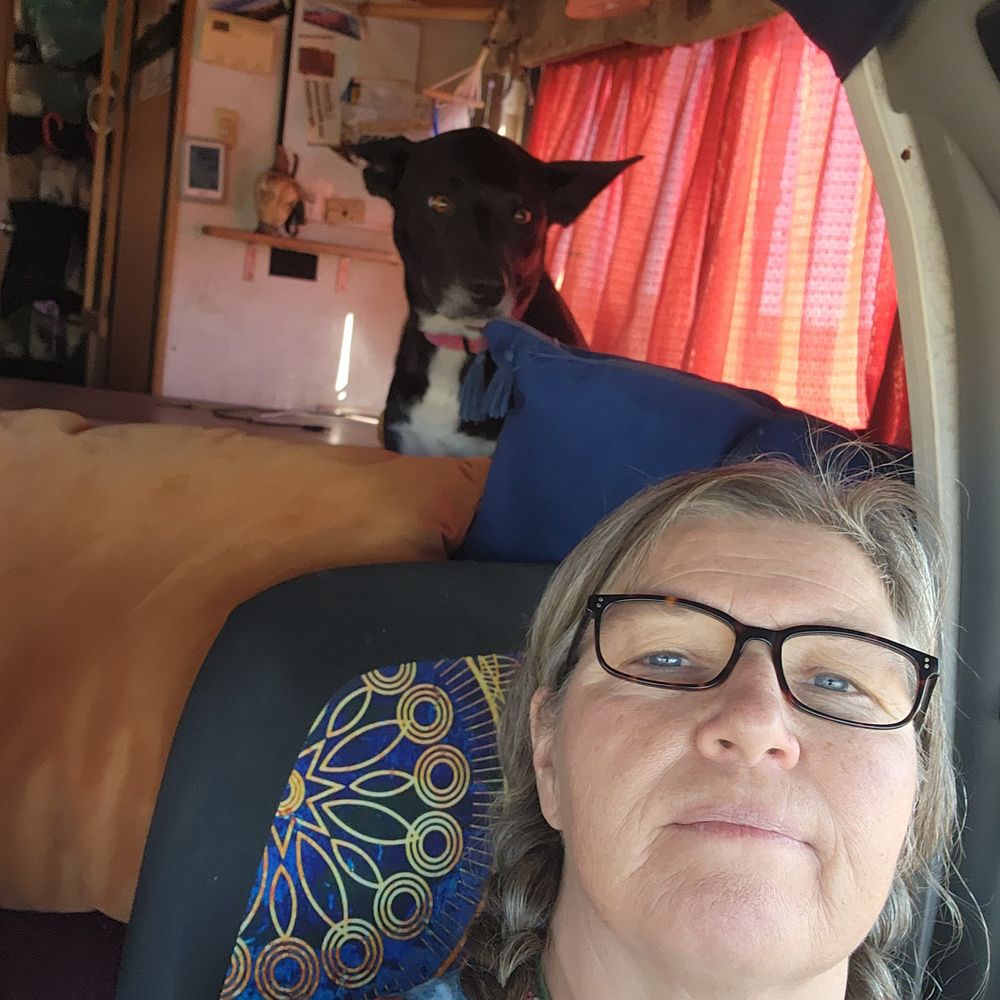 Carolyn's RV Life 