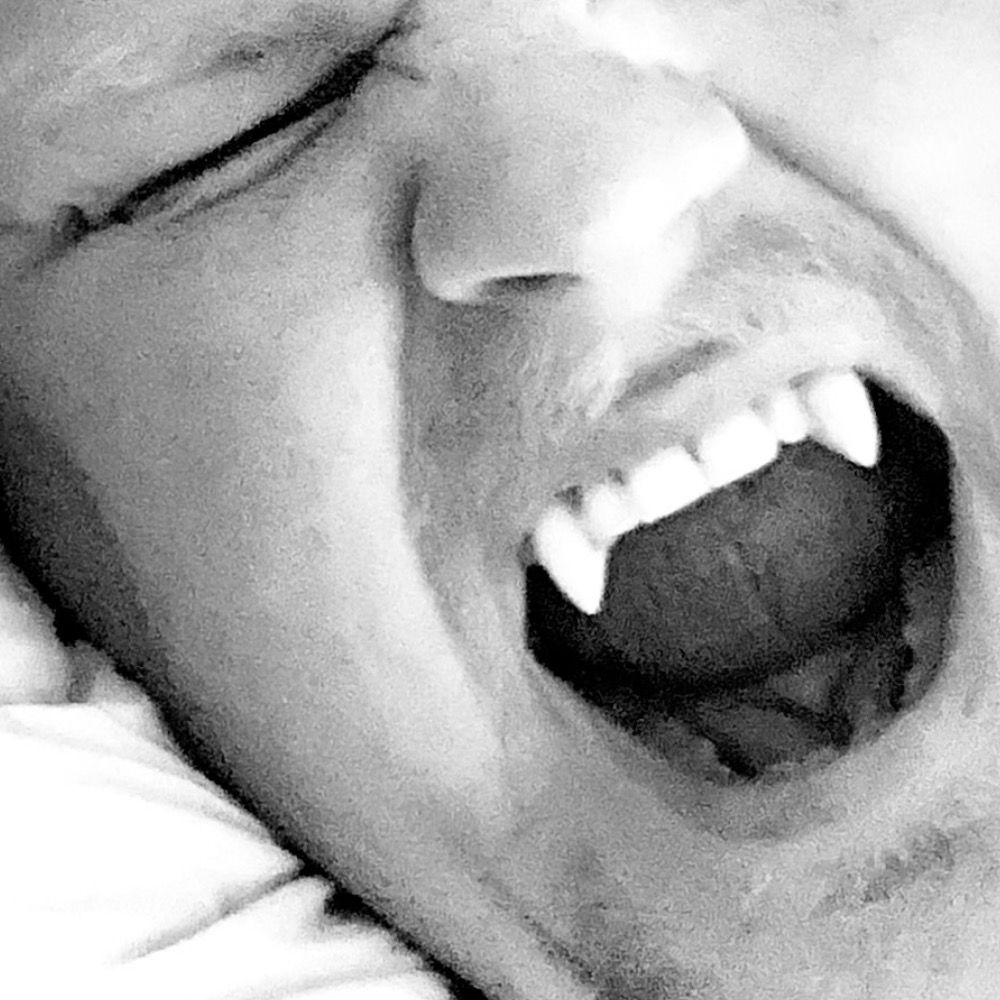 bzerker86
