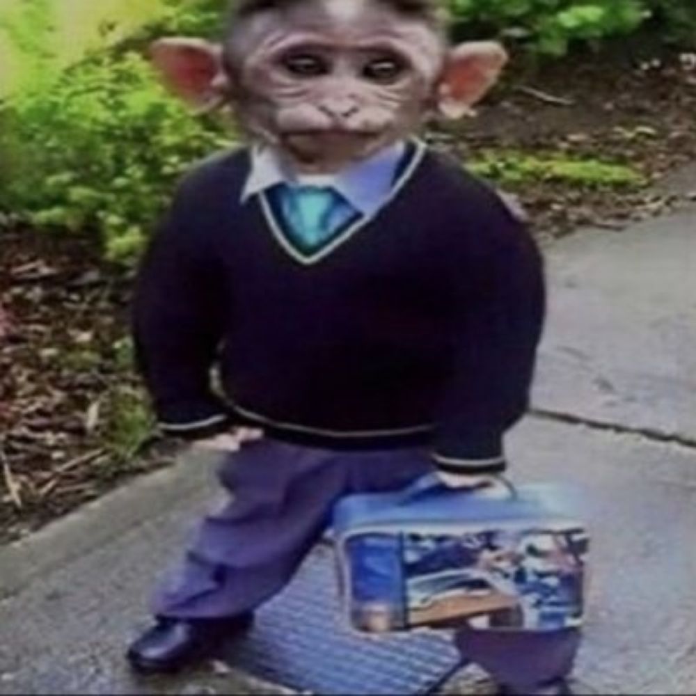 jc