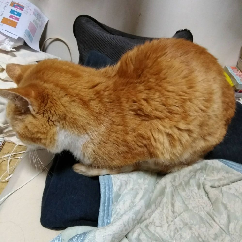 半人前の教師