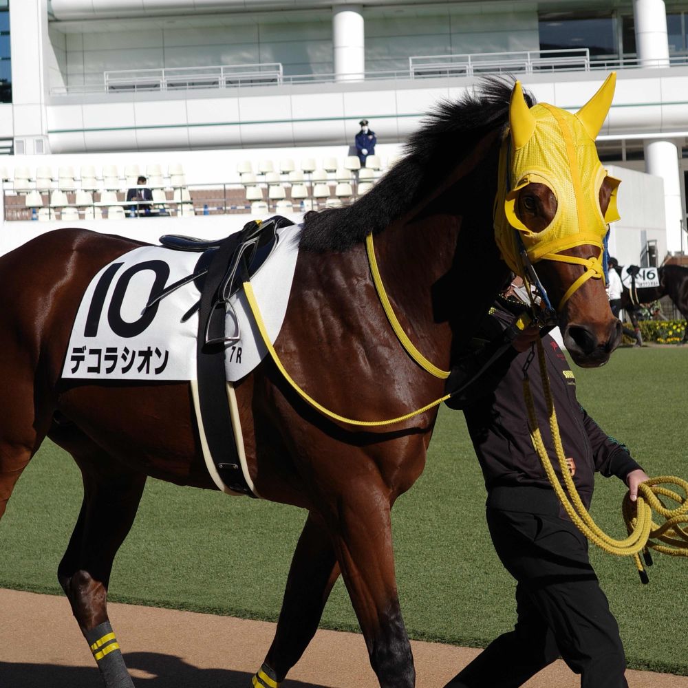 カイオウの一口馬主と共有馬主（豪）🐴