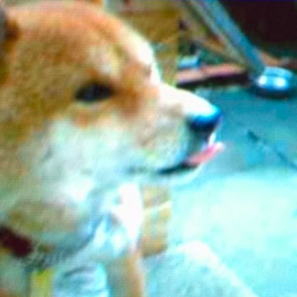 瀬島卓也