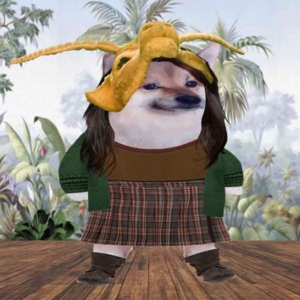 Ducky Krup's avatar