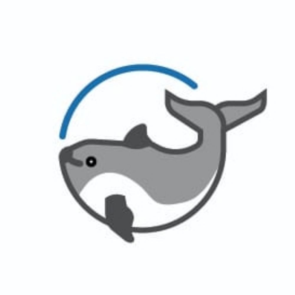 Cetacean Action Treasury