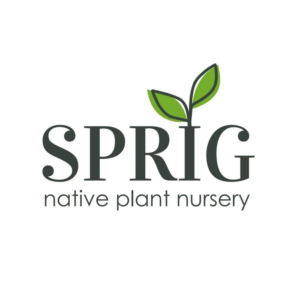 Sprig Native Plant Nursery