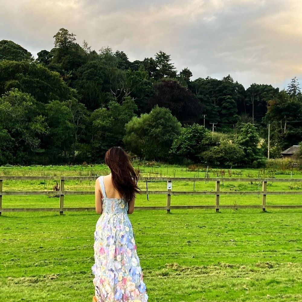 sophia12554.bsky.social profile picture