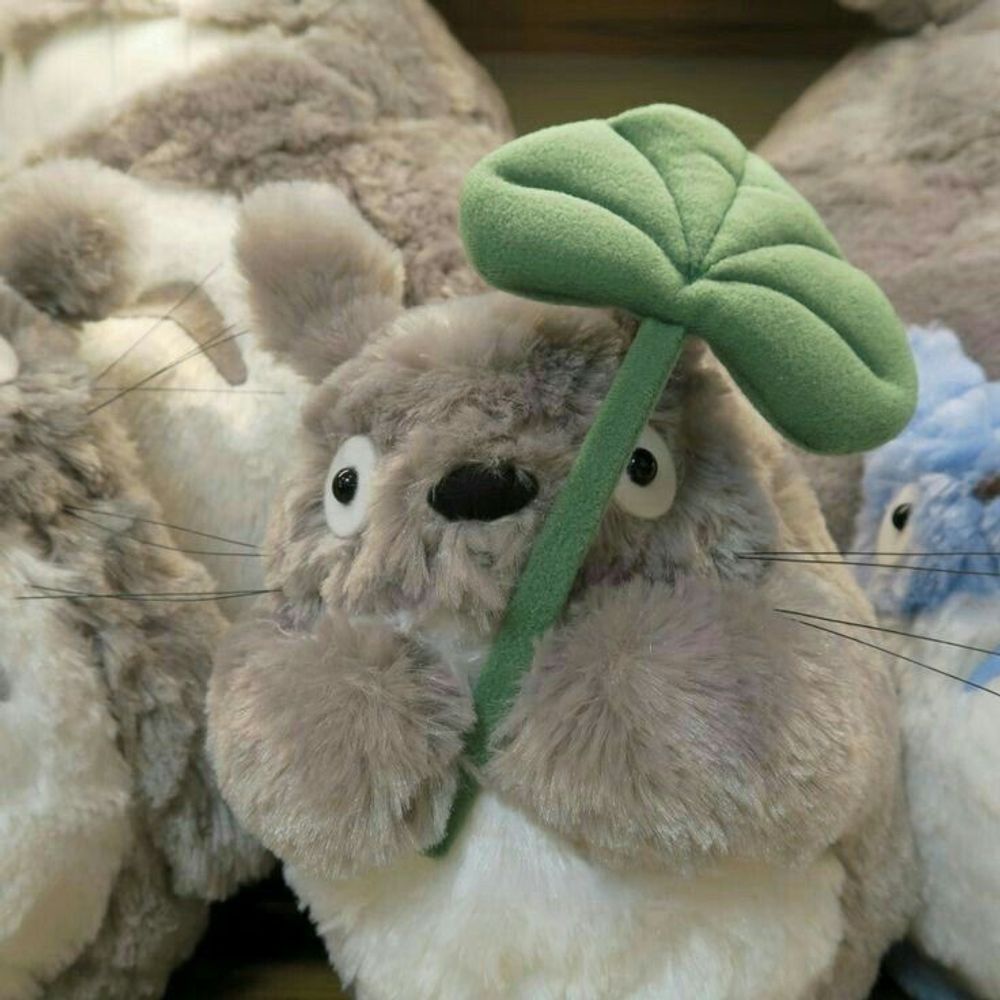 hera