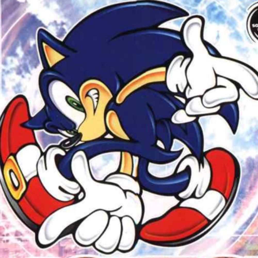 Another Sonic Fan