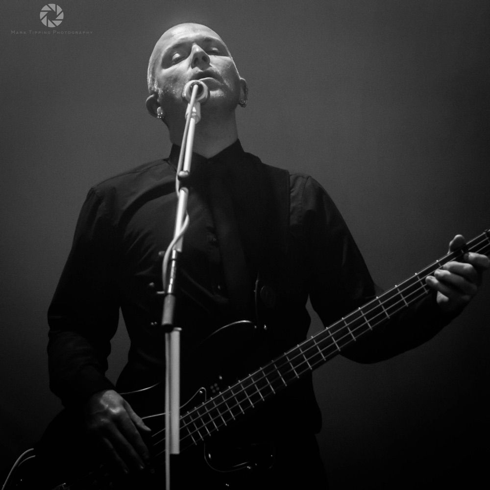 Simon Little