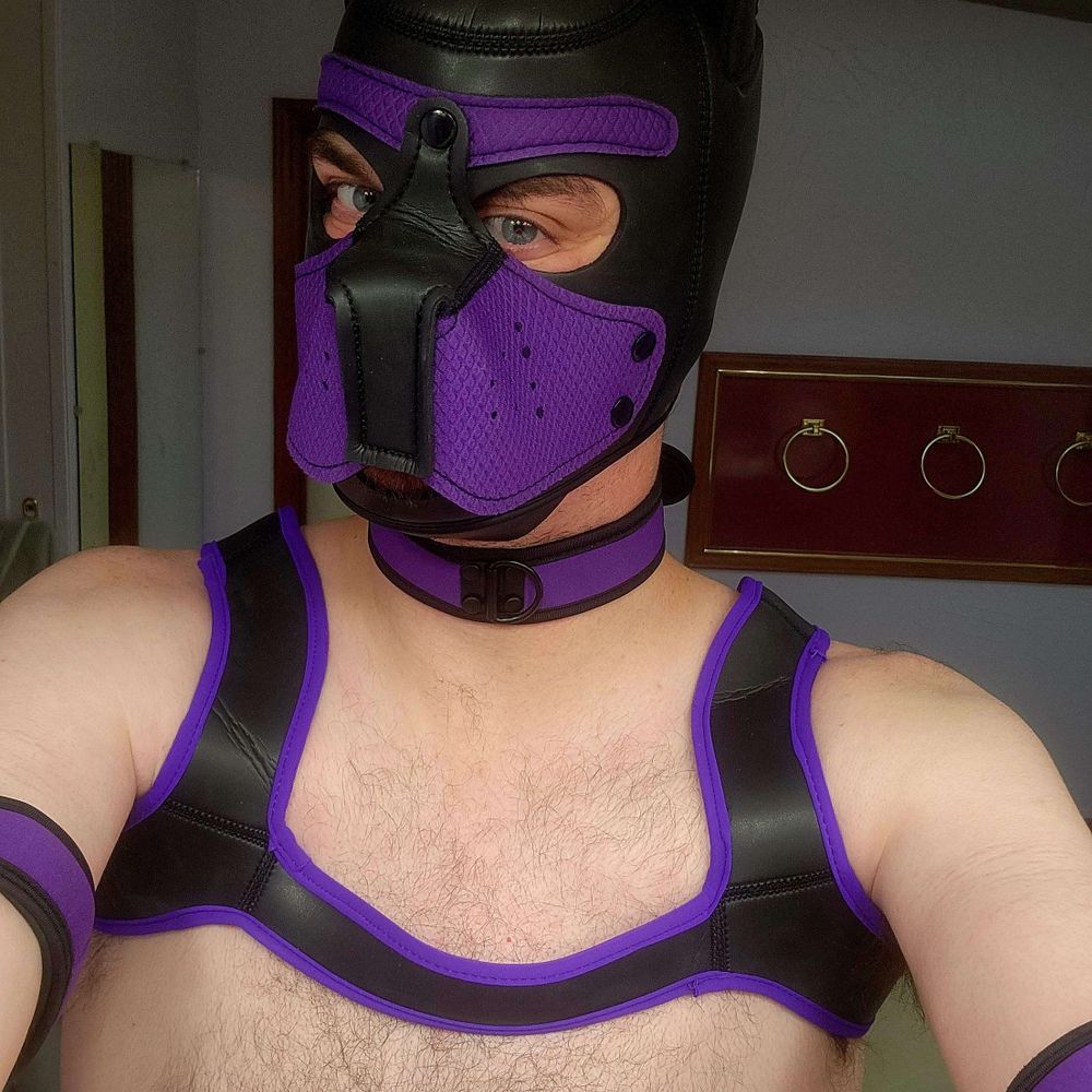 Hunter sheppy
