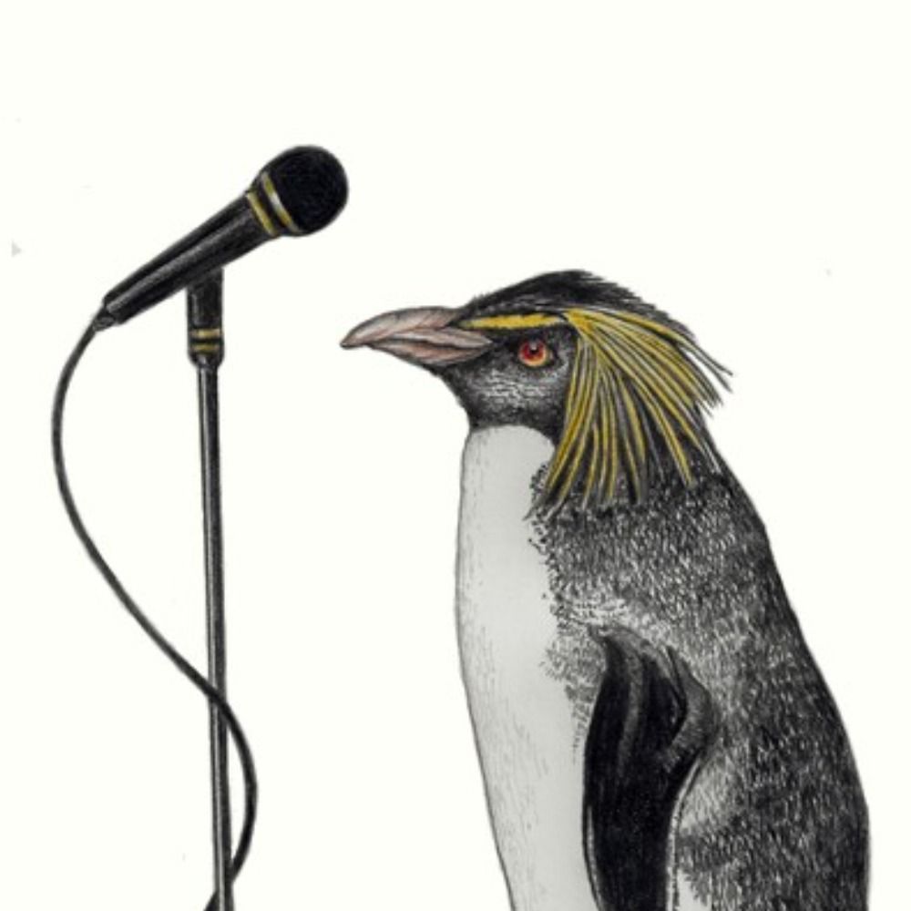 Laughing Penguin