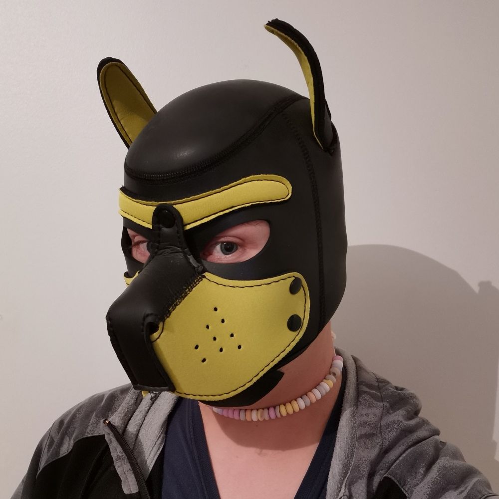 Pupper90