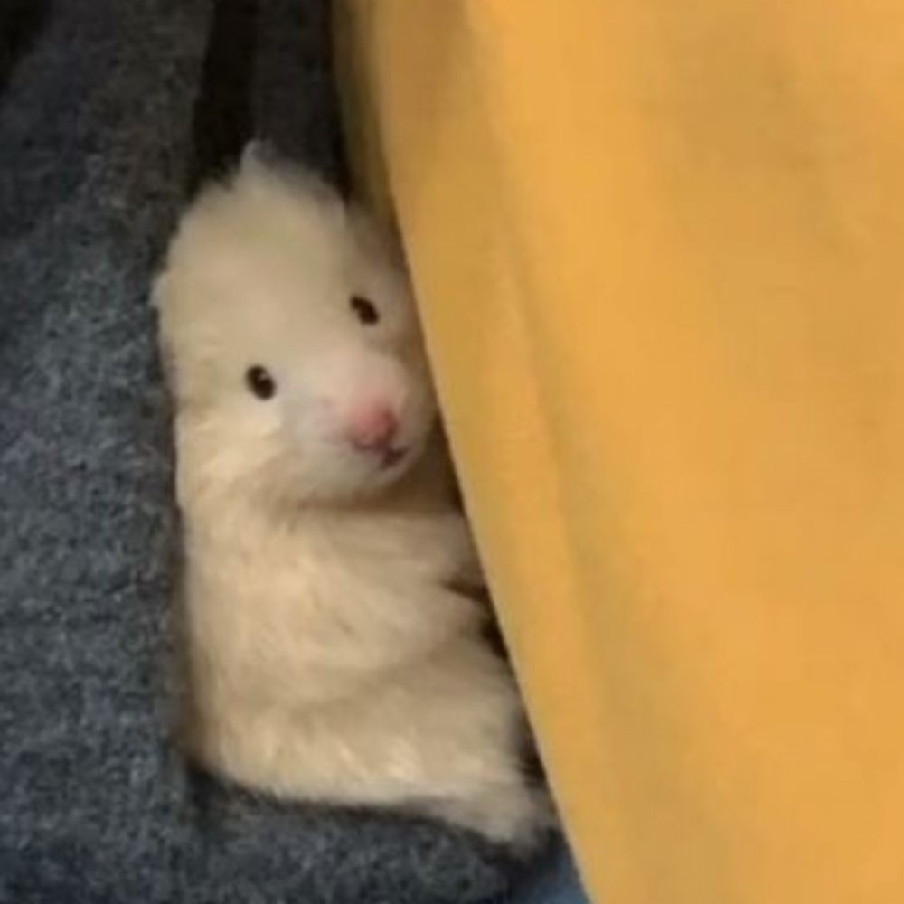 북북💛