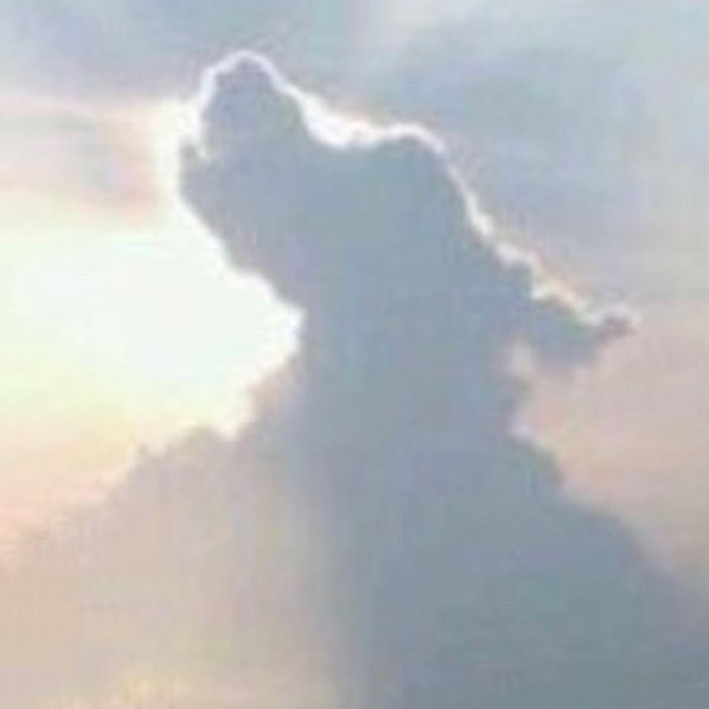 Paws Give Me Purpose 