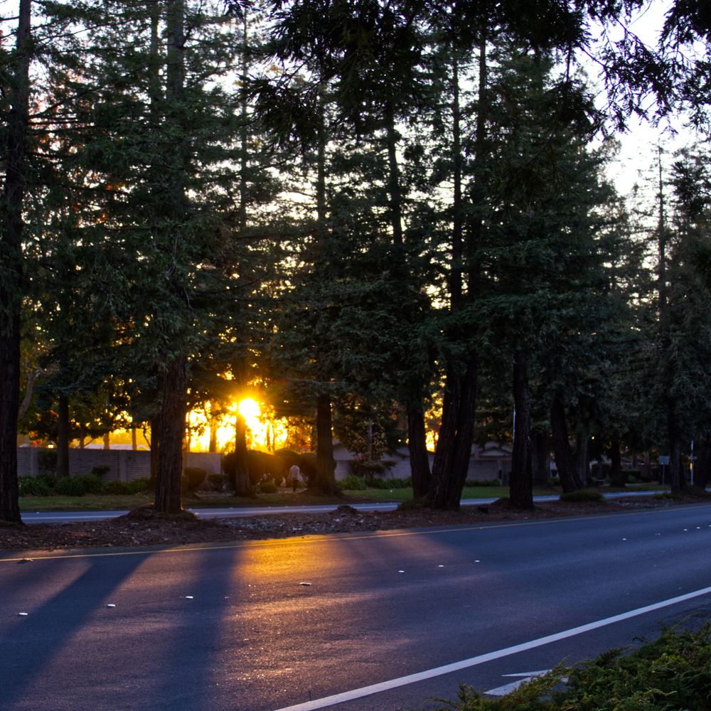 tehdoctor.bsky.social