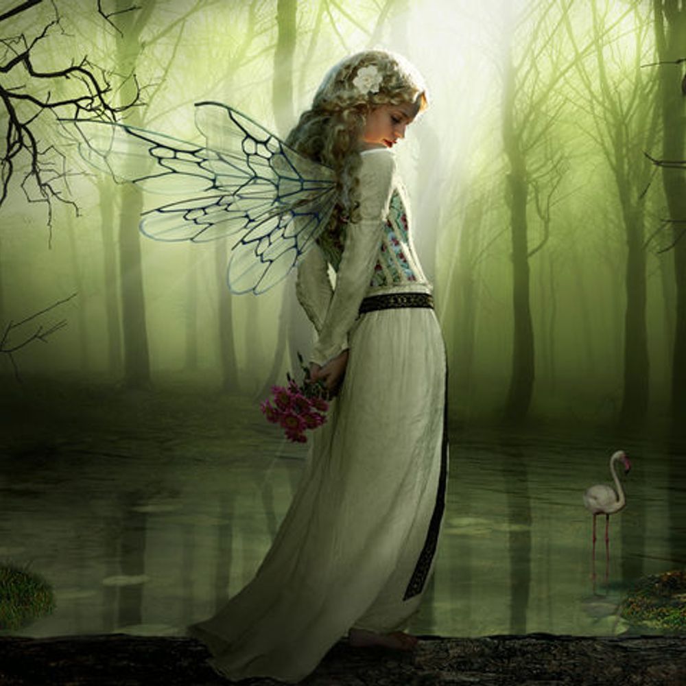 Llewellyn James