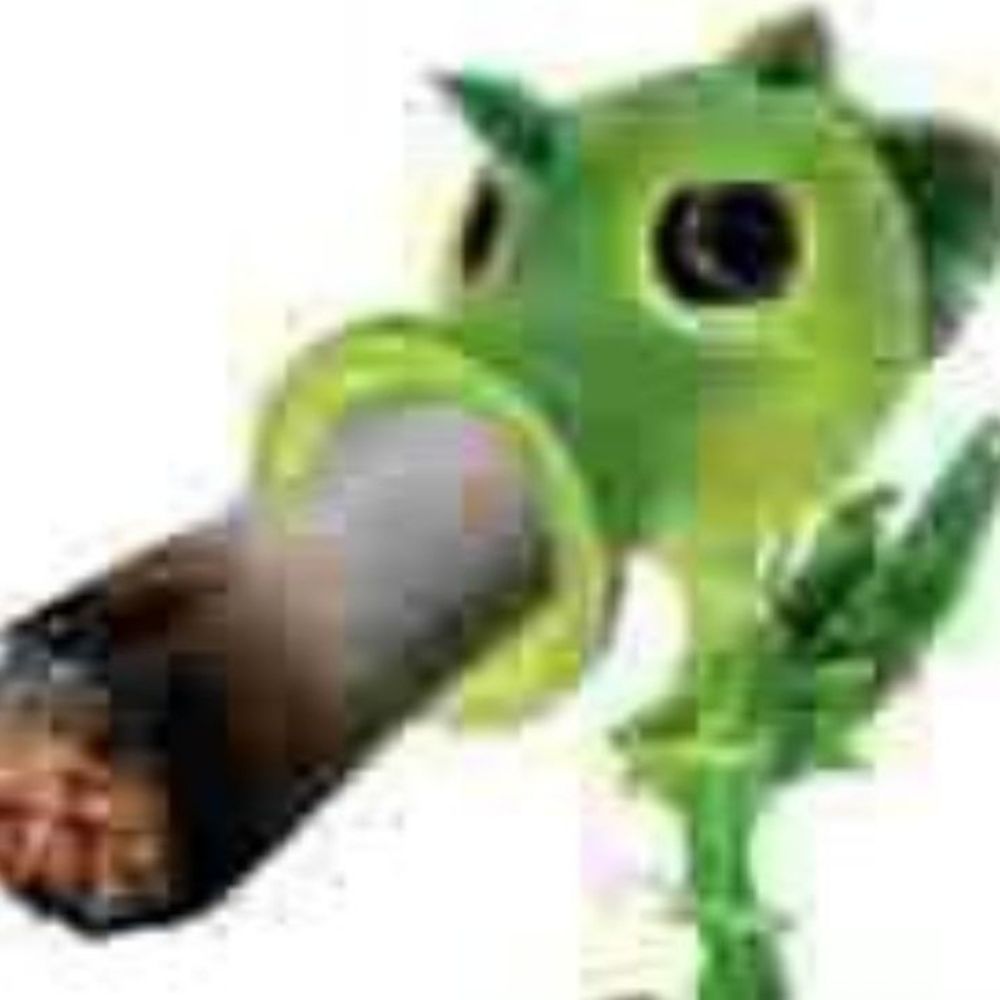 xirgola ✠