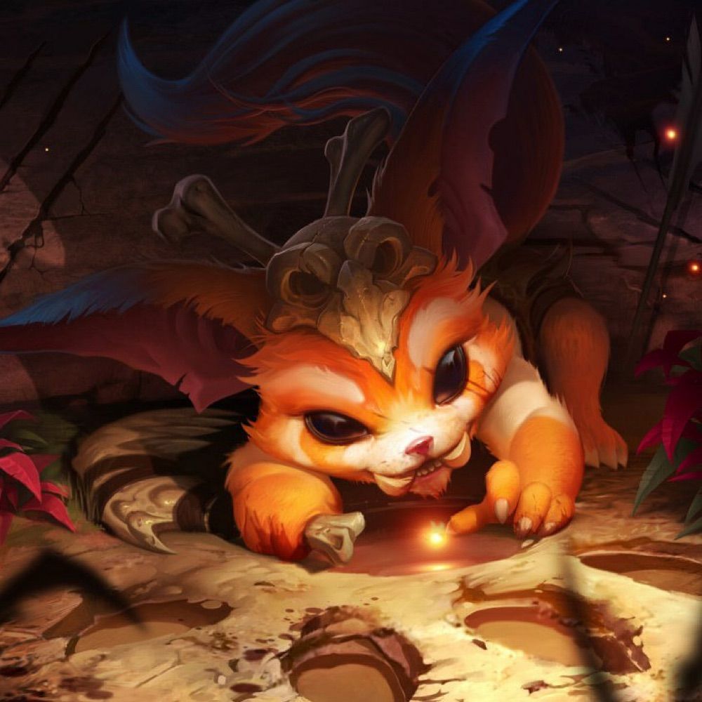 Squirrel