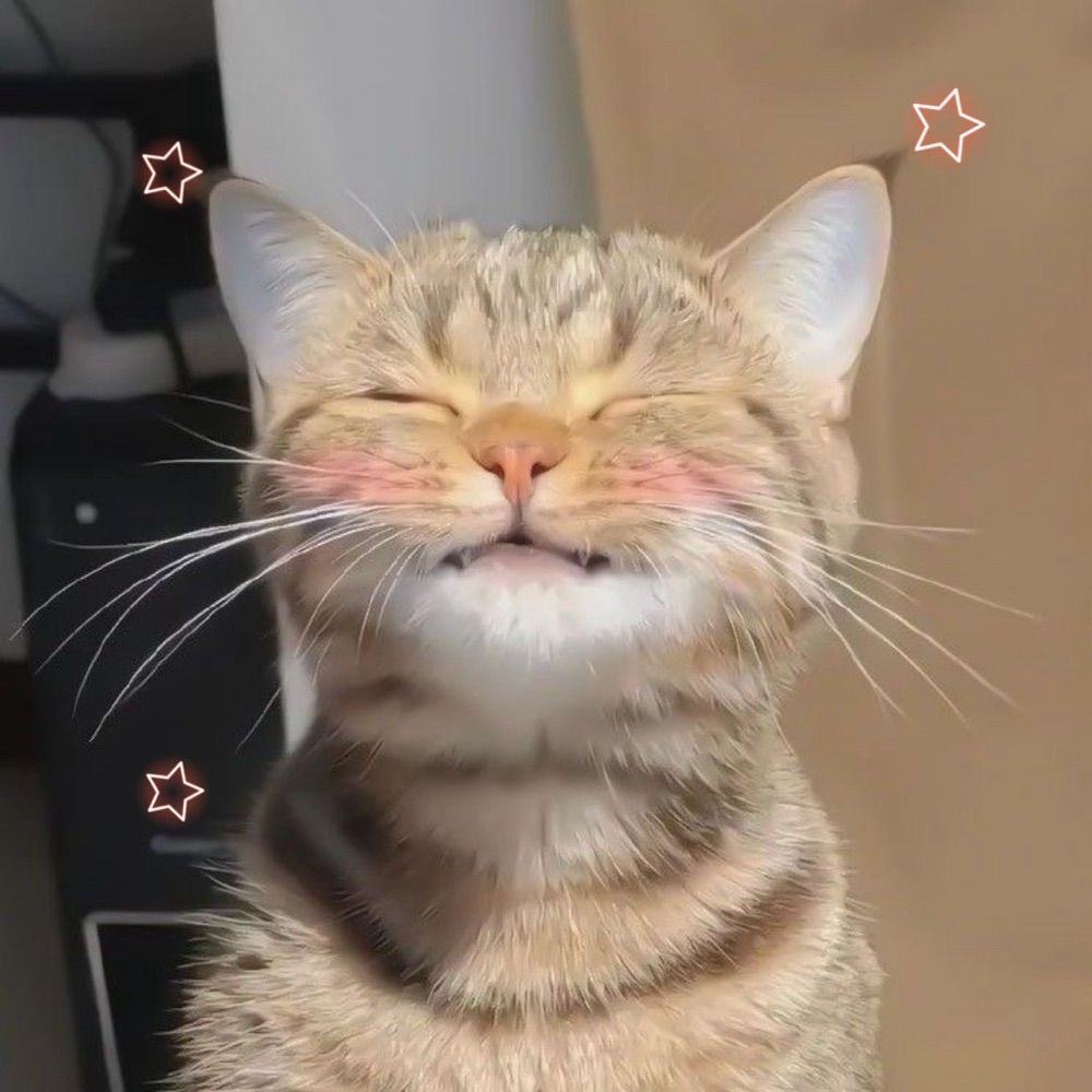 Day